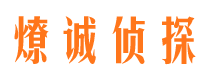 靖安私家调查